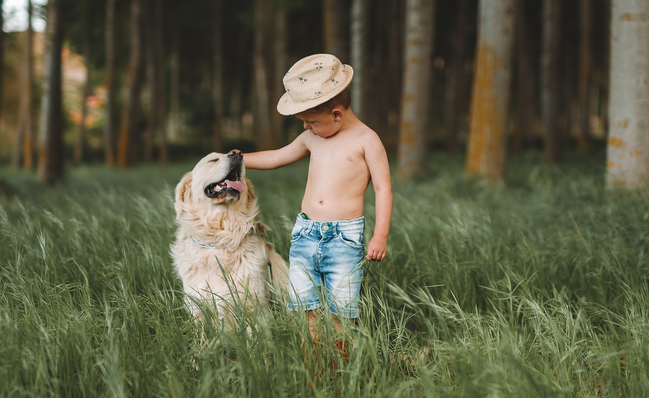 The Friendly Nature of Boxers